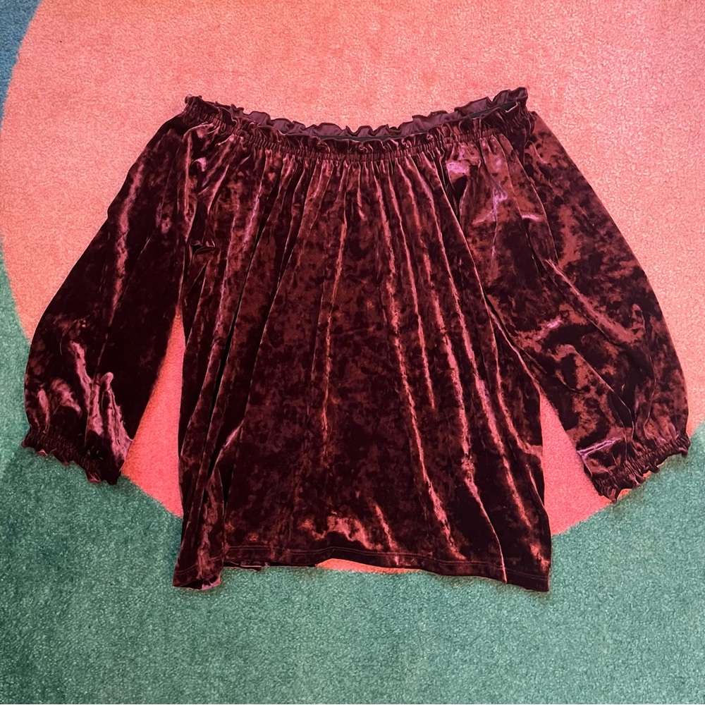Whimsigoth Velvet Top Off The Shoulder Half Sleeves Ruffle Witchy Dark Romantic